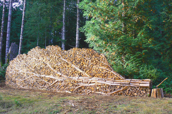 image011.jpg