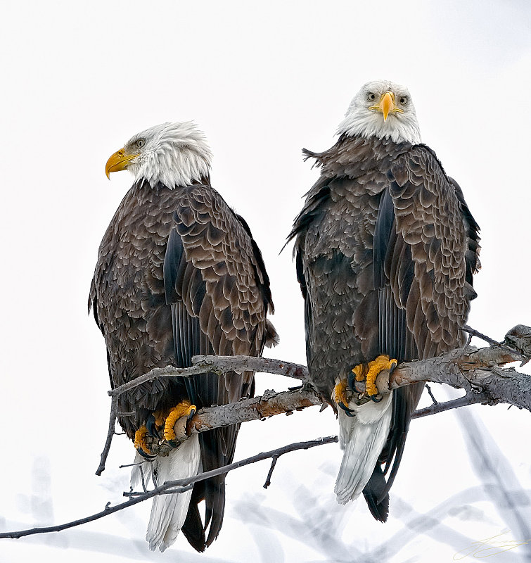 image018.jpg
